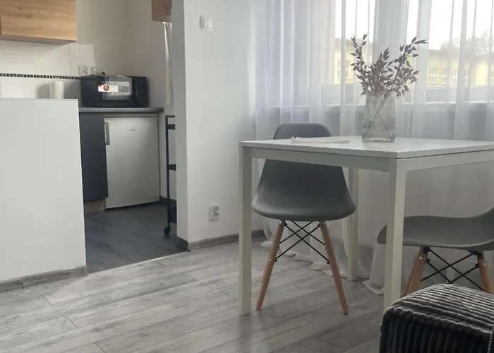 W Centrum Faktura Apartment *